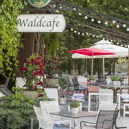 Restaurant Waldcafe ゲストハウス 2*